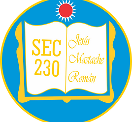 Escudo secundaria diurna 230
